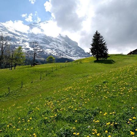 Aspen Alpine Lifestyle Hotel Γκρίντελβαλντ Εξωτερικό φωτογραφία