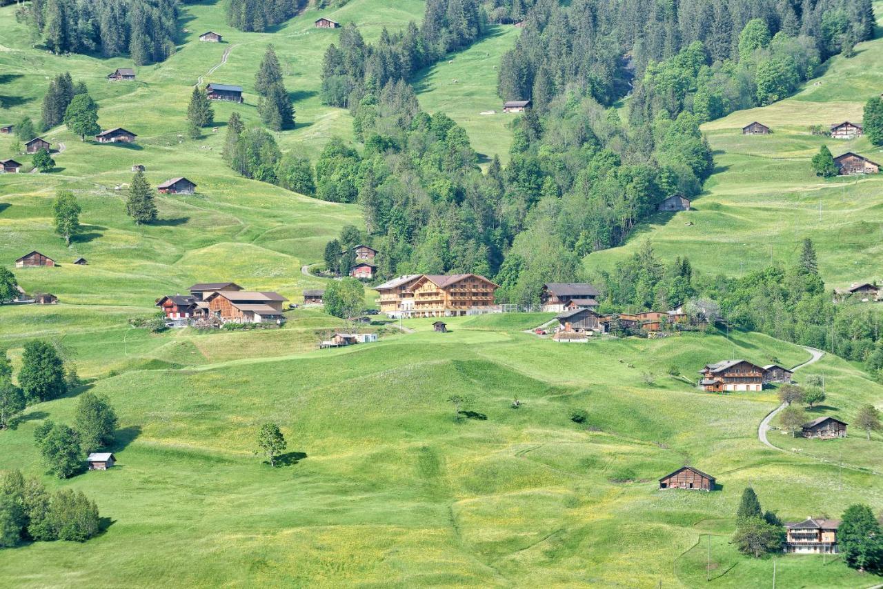 Aspen Alpine Lifestyle Hotel Γκρίντελβαλντ Εξωτερικό φωτογραφία