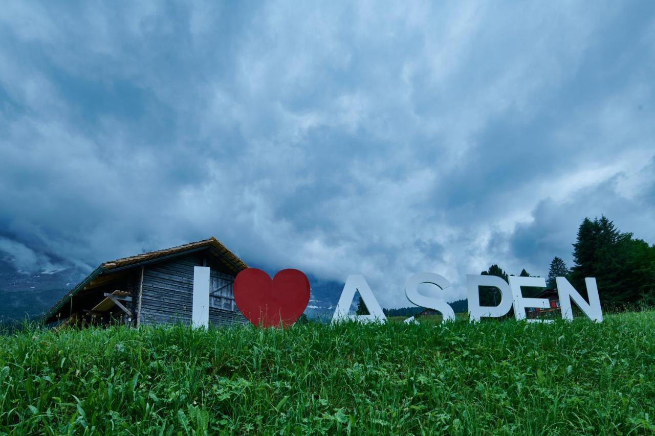 Aspen Alpine Lifestyle Hotel Γκρίντελβαλντ Εξωτερικό φωτογραφία