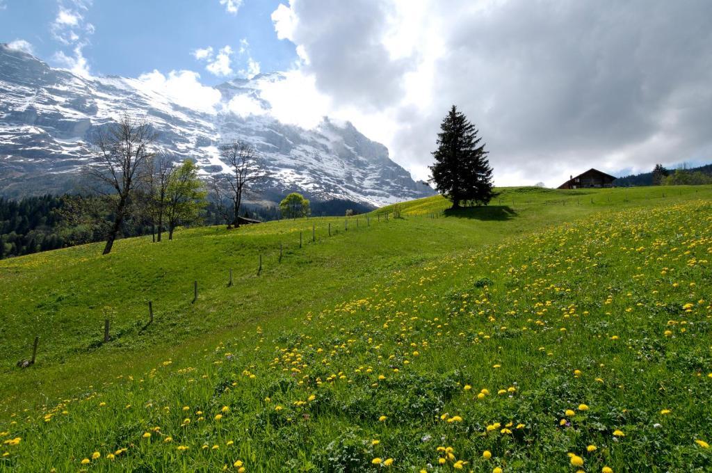 Aspen Alpine Lifestyle Hotel Γκρίντελβαλντ Εξωτερικό φωτογραφία