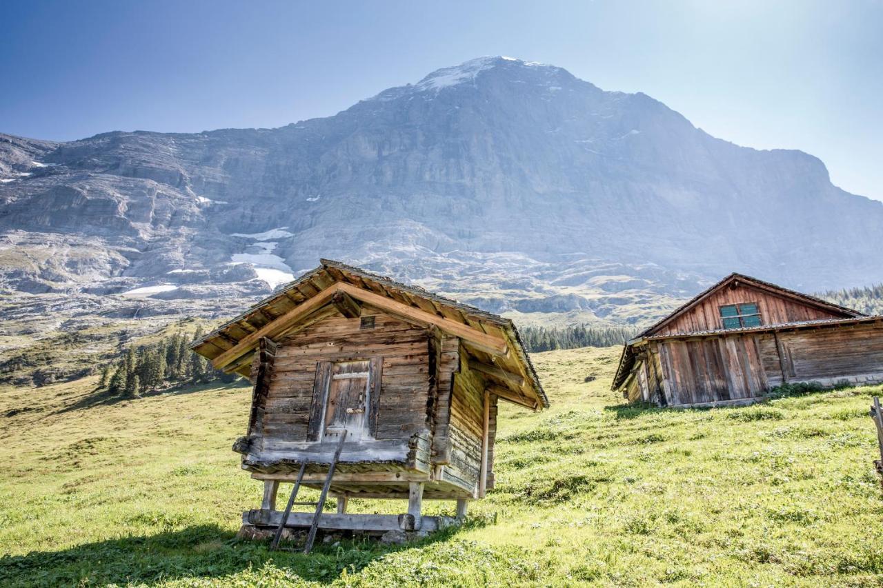 Aspen Alpine Lifestyle Hotel Γκρίντελβαλντ Εξωτερικό φωτογραφία